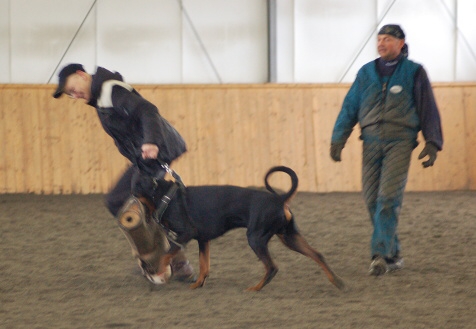 Training in Finland 3/2007