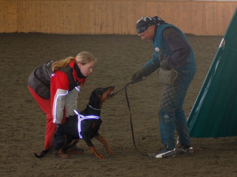 Training in Finland 3/2007