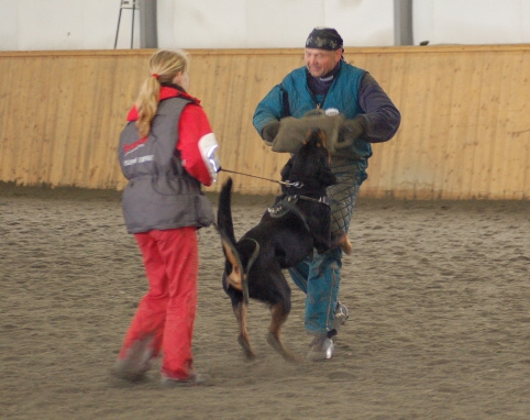 Training in Finland 3/2007