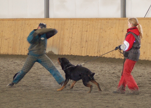 Training in Finland 3/2007