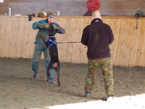 Training in Finland 3/2007