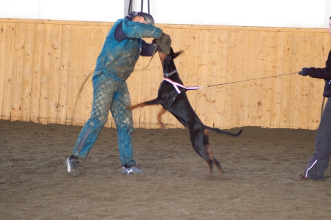 Training in Finland 3/2007