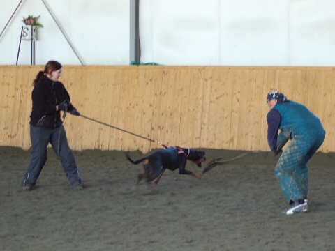 Training in Finland 3/2007