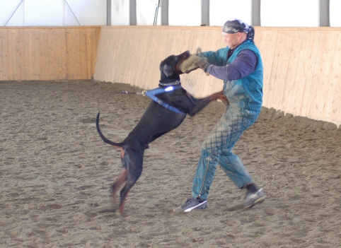 Training in Finland 3/2007