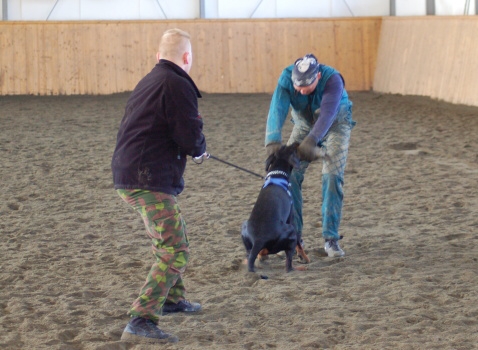 Training in Finland 3/2007