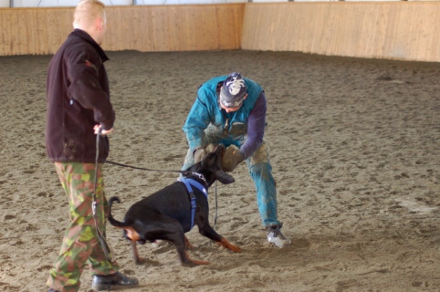 Training in Finland 3/2007