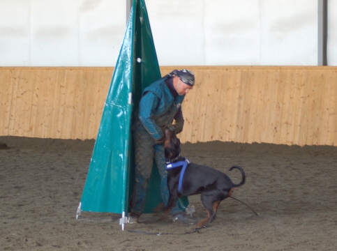 Training in Finland 3/2007