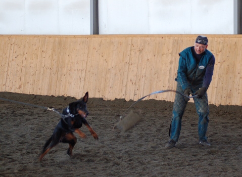 Training in Finland 3/2007