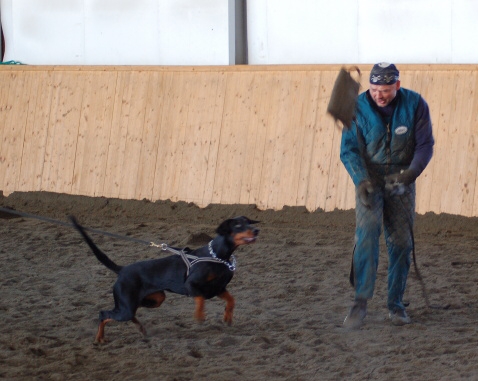 Training in Finland 3/2007