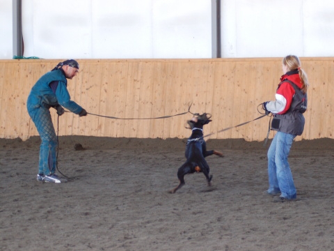 Training in Finland 3/2007