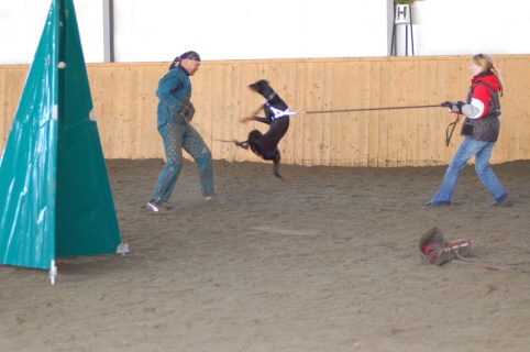 Training in Finland 3/2007