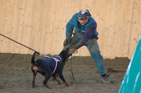 Training in Finland 3/2007