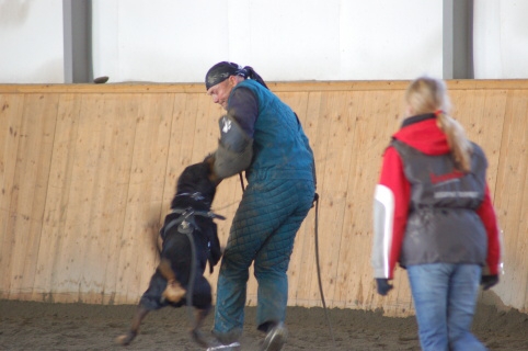 Training in Finland 3/2007