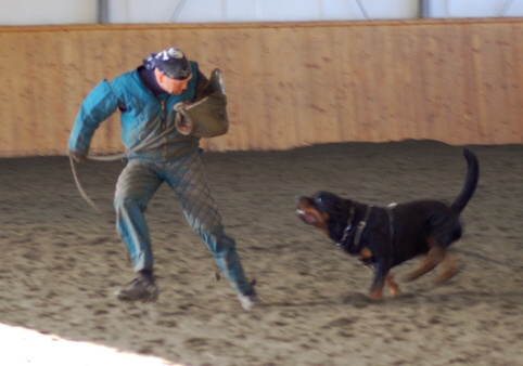 Training in Finland 3/2007