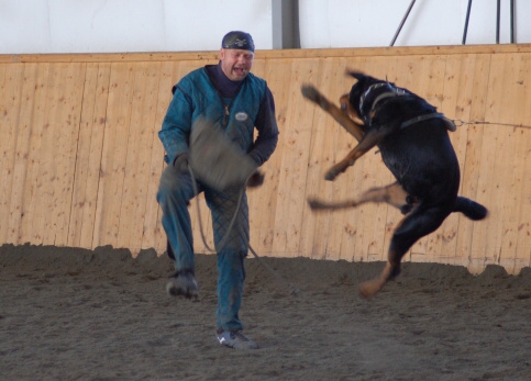 Training in Finland 3/2007