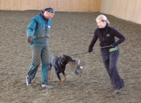 Training in Finland 3/2007