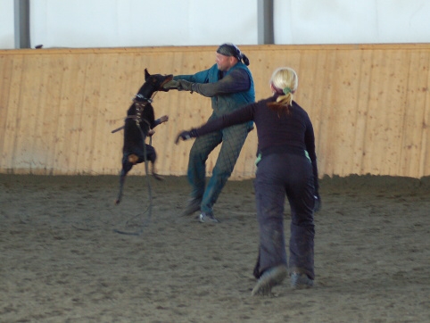 Training in Finland 3/2007