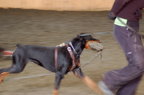 Training in Finland 3/2007