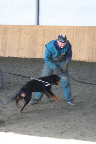 Training in Finland 3/2007