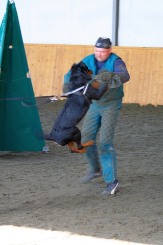 Training in Finland 3/2007