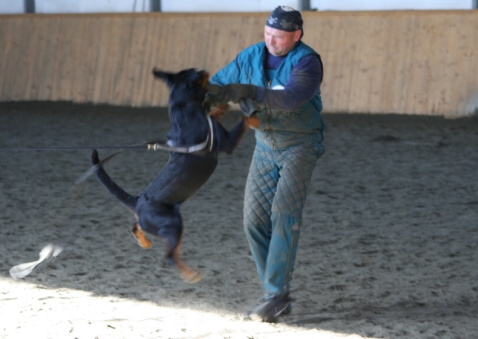 Training in Finland 3/2007