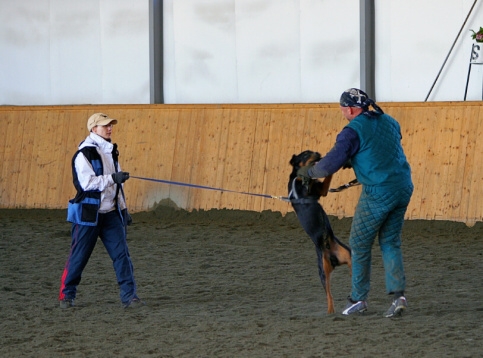 Training in Finland 3/2007