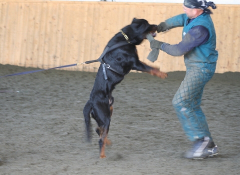 Training in Finland 3/2007