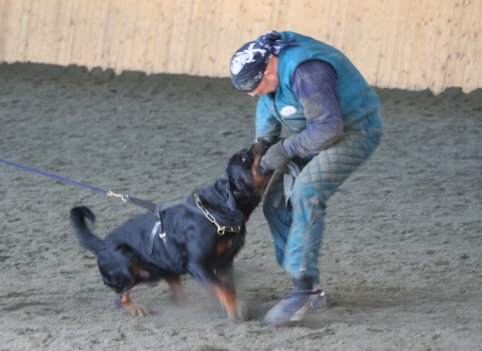 Training in Finland 3/2007