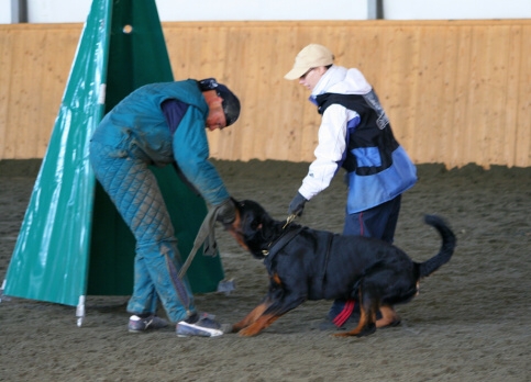 Training in Finland 3/2007