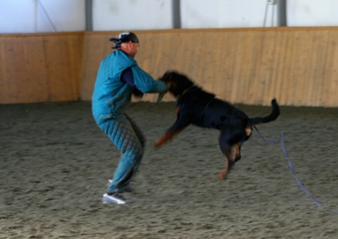 Training in Finland 3/2007