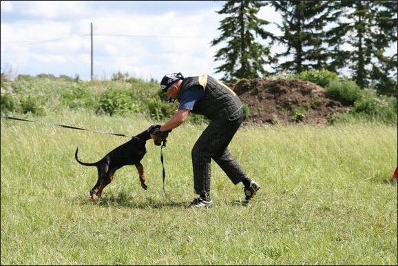 Training in Finland 6/2008