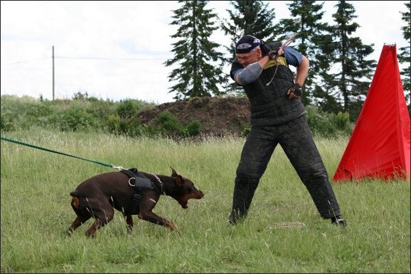 Training in Finland 6/2008