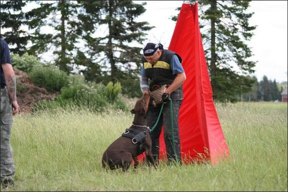 Training in Finland 6/2008