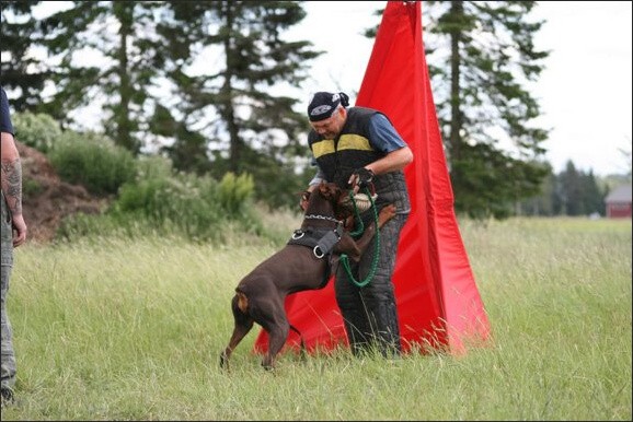 Training in Finland 6/2008