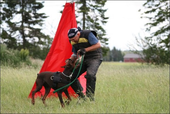 Training in Finland 6/2008