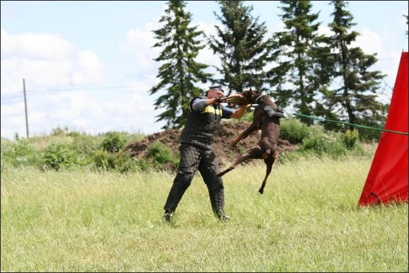 Training in Finland 6/2008