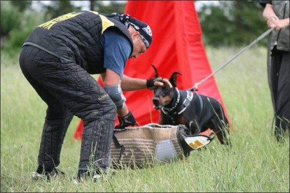 Training in Finland 6/2008