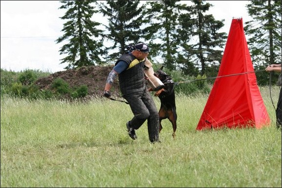 Training in Finland 6/2008