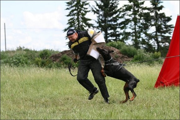 Training in Finland 6/2008