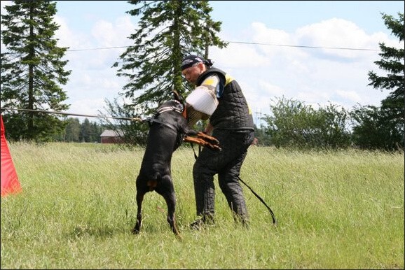 Training in Finland 6/2008