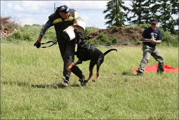 Training in Finland 6/2008