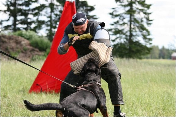 Training in Finland 6/2008