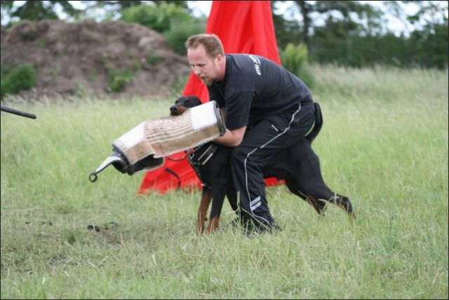 Training in Finland 6/2008