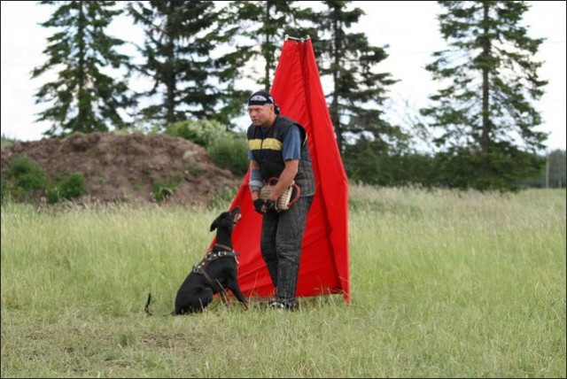 Training in Finland 6/2008