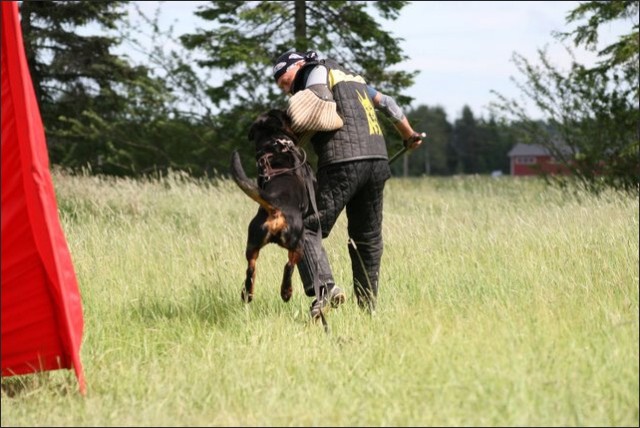 Training in Finland 6/2008