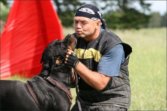 Training in Finland 6/2008