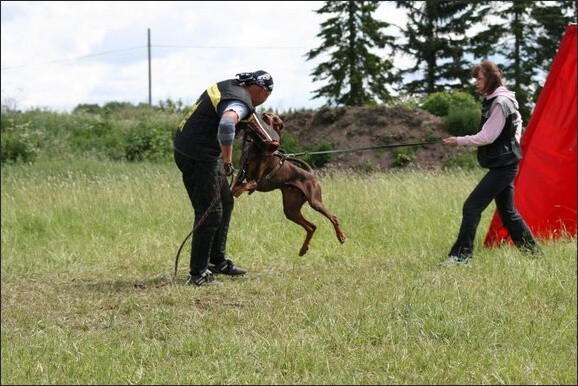 Training in Finland 6/2008