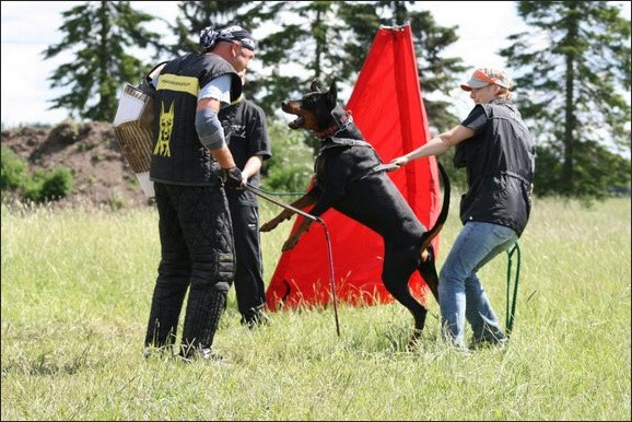 Training in Finland 6/2008