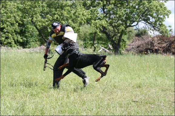 Training in Finland 6/2008