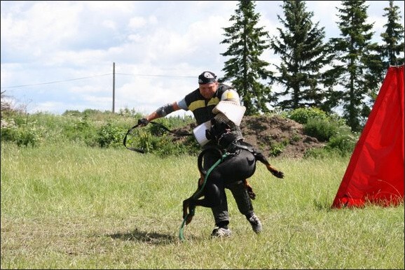 Training in Finland 6/2008